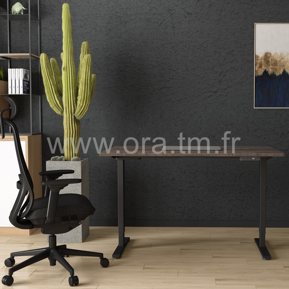 SMALL - STRUCTURE MOTORISEE - ELECTRIQUE 2 MOTEURS