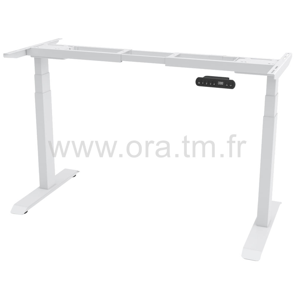 WISH - STRUCTURE MOTORISEE - ELECTRIQUE 2 MOTEURS