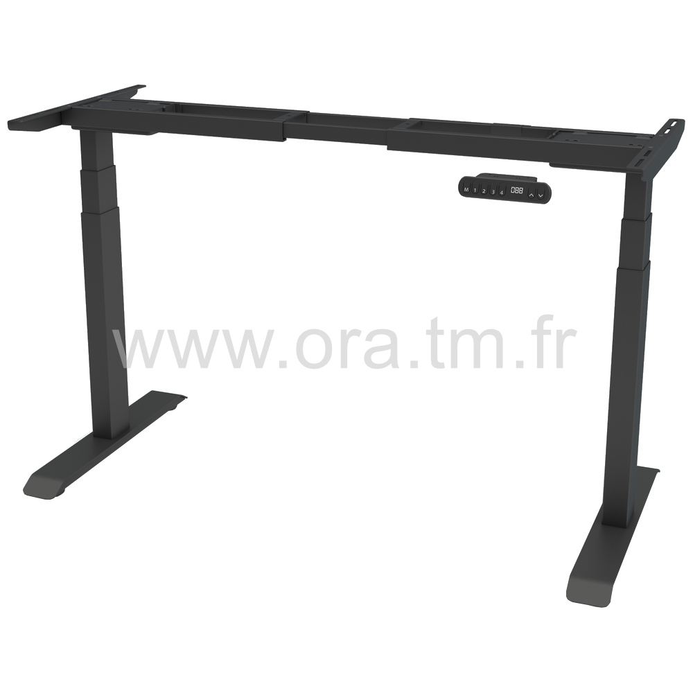 WISH - STRUCTURE MOTORISEE - ELECTRIQUE 2 MOTEURS