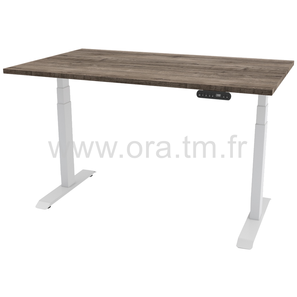 WISH - STRUCTURE MOTORISEE - ELECTRIQUE 2 MOTEURS