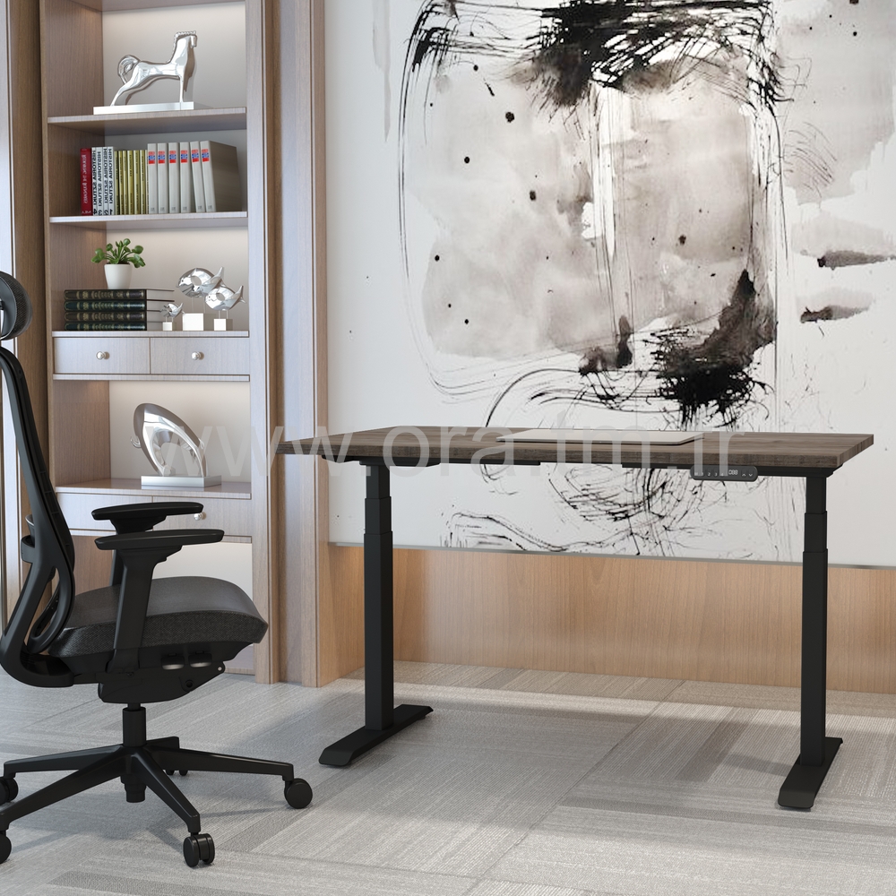 WISH - STRUCTURE MOTORISEE - ELECTRIQUE 2 MOTEURS