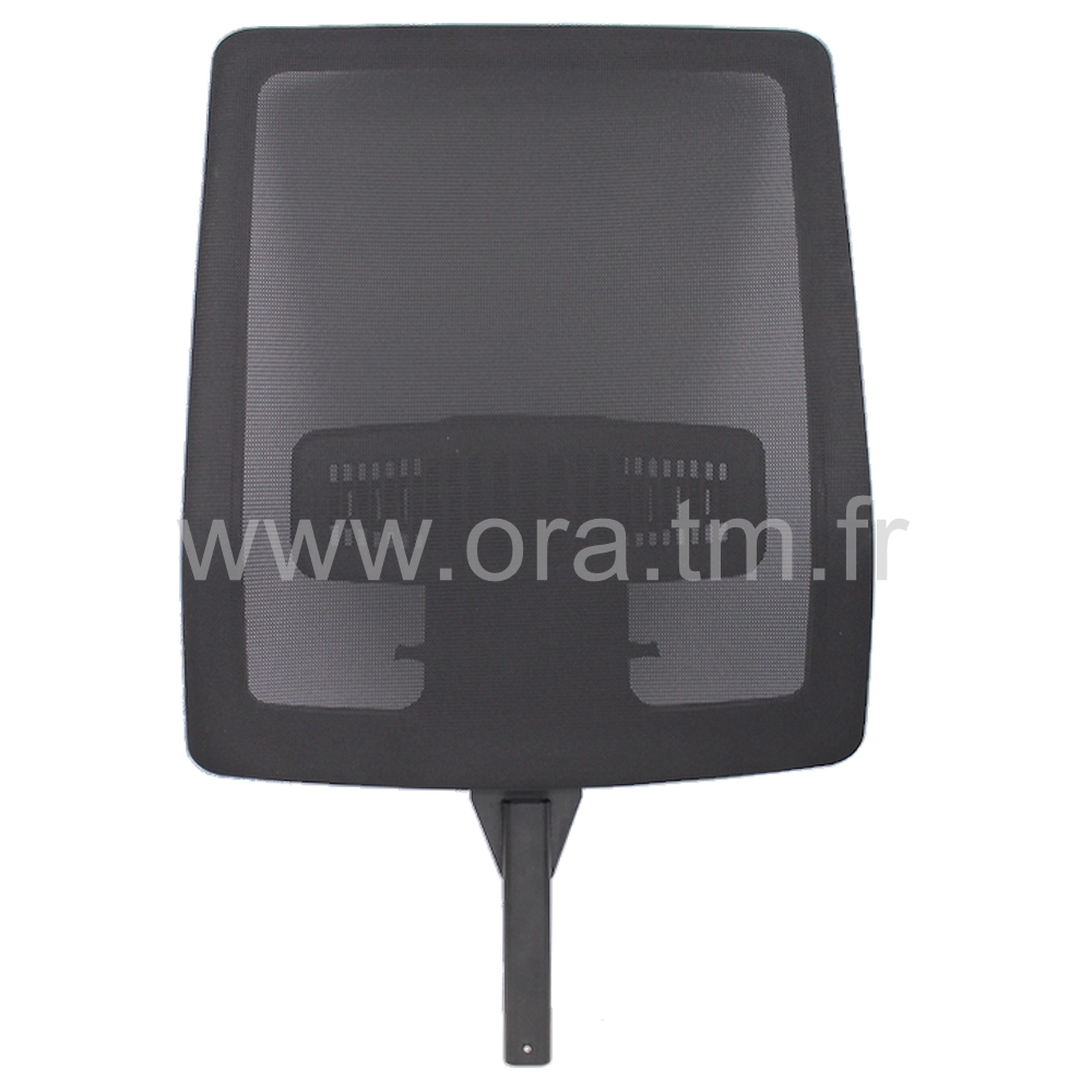 QUEEN - ASSISE DOSSIER TAPISSE - CADRE DOS RESILLE